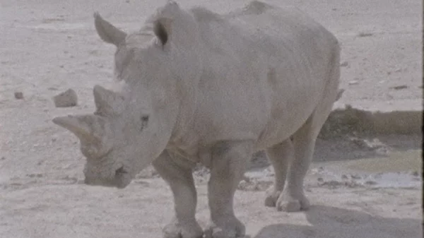 "ΦΑΤ & ΘΙΝ": Μια περφόρμανς με αφορμή το πρότζεκτ "Μεταμορφώσεις"