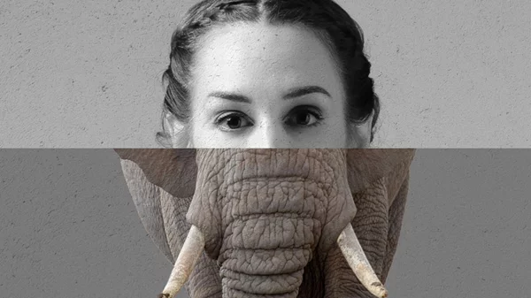 Η συγκλονιστική ιστορία του "Ανθρώπου ελέφαντα" έρχεται στο θέατρο Άνεσις