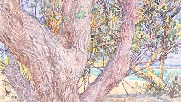 Ο Δημήτρης Κατσιγιάννης ζωγραφίζει "en plein air"