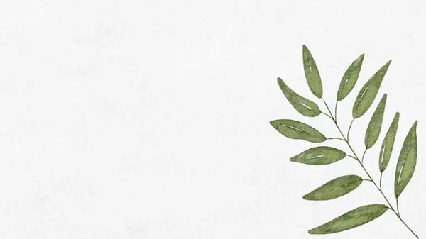 Πώς φτιάχνεις μια φιλική προς το περιβάλλον βιβλιοθήκη;