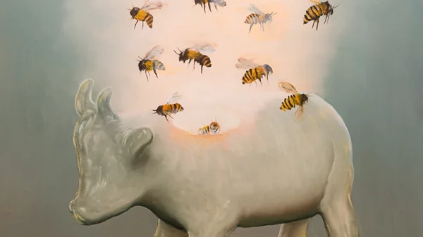 Οι must-see εκθέσεις για τον Σεπτέμβριο