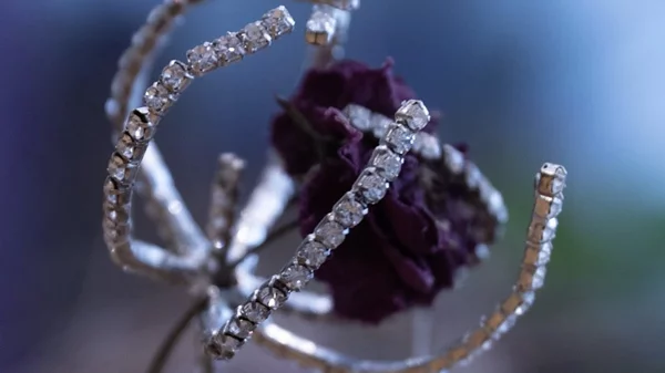 "Amuse Gueule": Δύο καλλιτέχνιδες μας "σερβίρουν" το πρώτο σόου του OKAY initiative space