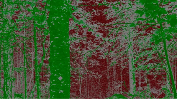 Η εγκατάσταση "Off Balance" φέρνει στην επιφάνεια τη δραματική επικαιρότητα της κλιματικής κρίσης