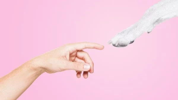 Τετράποδοι επισκέπτες στο Εθνικό Μουσείο Σύγχρονης Τέχνης