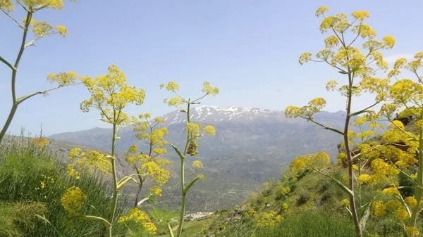 Η νέα έκθεση μίας σύγχρονης εικαστικού είναι αφορμή για να επισκεφθείς το Ρέθυμνο