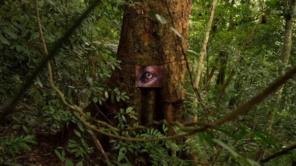 Διαβάστε το νεό "Χταπόδι" του ΕΜΣΤ