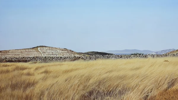 Περνώντας από τη μεγάλη στη μικρή εικόνα με τα έργα του Μίλτου Σκούρα