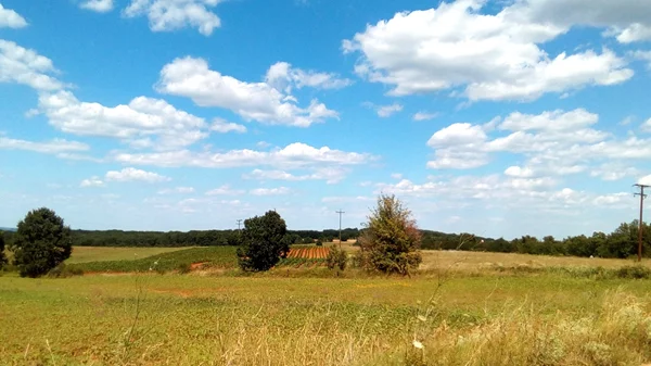 Άνθρωποι σε πέντε σημεία της Ελλάδας μοιράζονται τι σημαίνει για εκείνους ο Έβρος