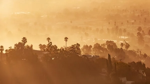 Λος Άντζελες: Οι πυρκαγιές "απειλούν" τους Ολυμπιακούς Αγώνες του 2028