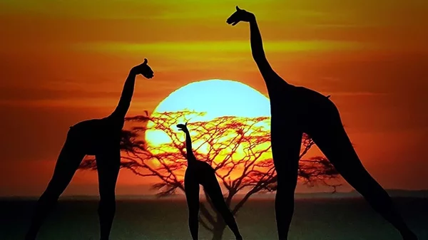 Χορός και σκιά δημιουργούν ένα ξεχωριστό θέαμα στον "Ελληνικό Κόσμο" από τους διάσημους Mobiles