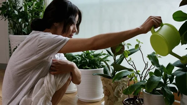 Οι ταινίες που βασίζονται στα βιβλία της νομπελίστριας Χαν Γκανγκ