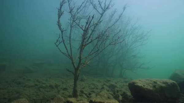 "Δεν ήρθα, έφυγα": Η Δημοτική Αγορά Κυψέλης αποκτά ένα νέο έργο τέχνης