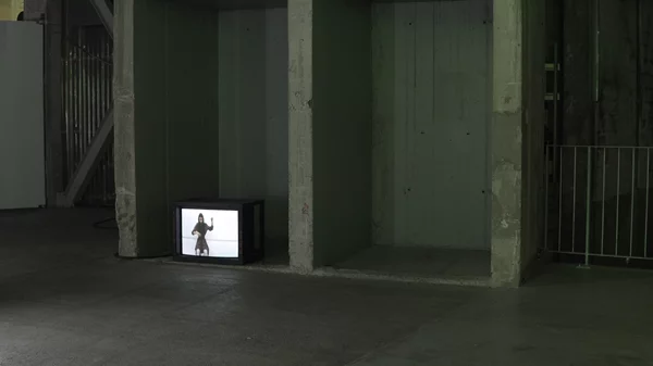 "Sacred or Monsters": Μήπως τελικά έχουμε παρεξηγήσει τα τέρατα;