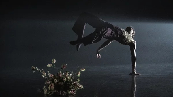 Η προπώληση ξεκινά για το Διεθνές φεστιβάλ χορού Καλαμάτας!