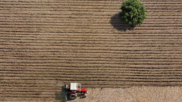Προβολές ντοκιμαντέρ Ελλήνων δημιουργών στην Ελευσίνα