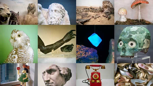 "Visitations": Πώς τα δωμάτια αξιοπερίεργων αντικειμένων οδήγησαν στην ίδρυση των μουσείων