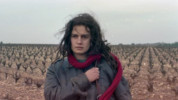 Δίχως Στέγη, Δίχως Νόμο