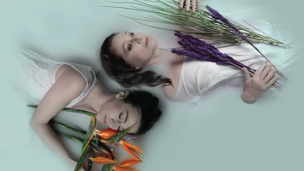 Το "Ξαφνικά πέρσι το καλοκαίρι" του Τενεσί Ουίλιαμς έρχεται στον Νέο Ακάδημο