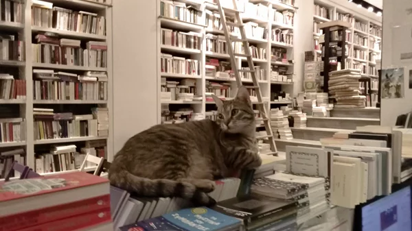 Κλείνει το βιβλιοπωλείο Επί Λέξει - και δεν σοκάρεται κανείς