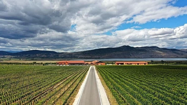 Τρία ελληνικά οινοποιεία στα καλύτερα του κόσμου για το 2022