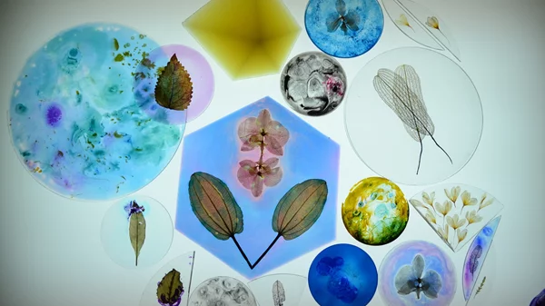 ''Ammophila vol.4 Hopes and Promises '': Το ετήσιο εικαστικό γεγονός της Ελαφόνησου μιλά για την ελπίδα και τα όνειρα