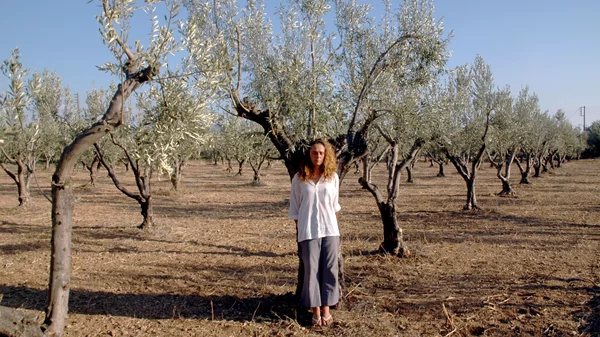 Τροποποιείται η εκδήλωση "Αμολή" της 2023 Ελευσίς λόγω των πυρκαγιών