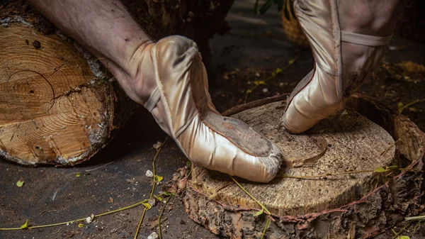 "The point of pointe / από το πραγματικό στο φανταστικό": Μια performance χορού για τη σχέση του σώματος με τη φύση