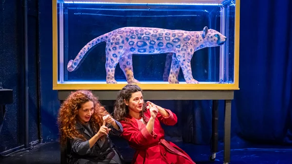 Το "Καπλάνι της βιτρίνας" έρχεται του χρόνου στο "Μιχάλης Κακογιάννης"