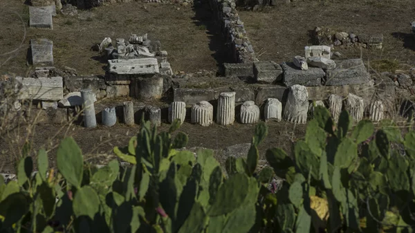 Τα ελευσίνια μυστήρια γίνονται αφορμή για μια ιδιότυπη εικαστική έκθεση στον αρχαιολογικό χώρο της Ελευσίνας