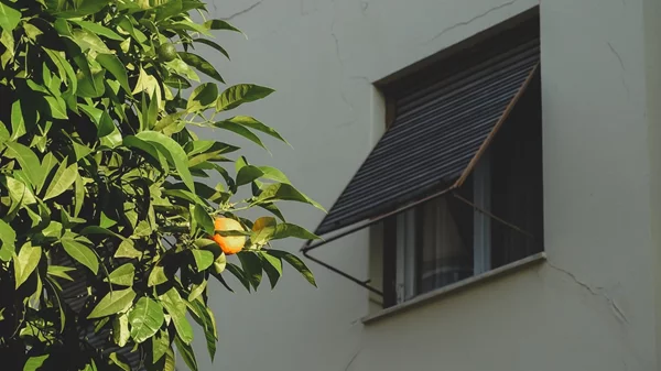 Τι αγαπάμε και τι δε συμπαθούμε στα Κάτω Πετράλωνα