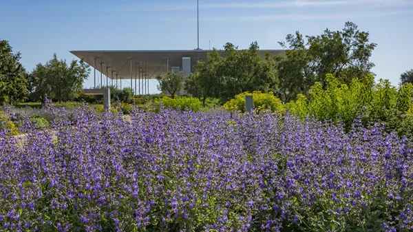 Γιορτινή Πρωτομαγιά στο ΚΠΙΣΝ