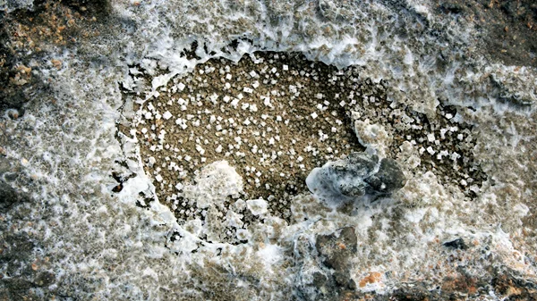 Εγκαίνια: Οι εκθέσεις της εβδομάδας (23-29/10)