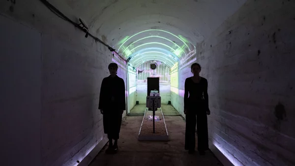 Τελευταίες ημέρες με τα "Plásmata ΙΙ": Τι θα δούμε στα Γιάννενα