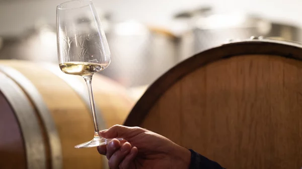 'Athens Wine & Art Festival': Tο μεγαλύτερο φεστιβάλ κρασιού και τέχνης στην Ελλάδα επιστρέφει