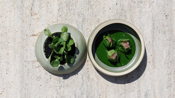 Το 'Pelagos' βάζει Σίφνο, Σαντορίνη και Νάξο στο πιάτο