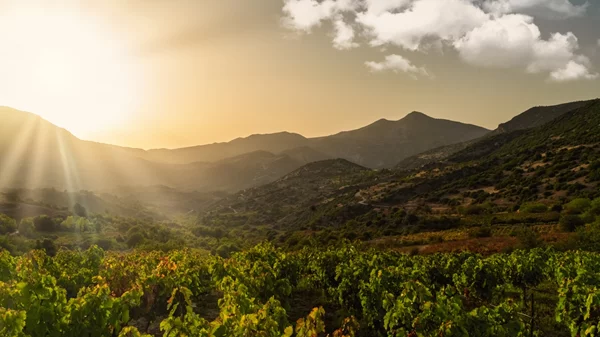 Λένε πως αυτή η περιοχή είναι η "Τοσκάνη της Ελλάδας"