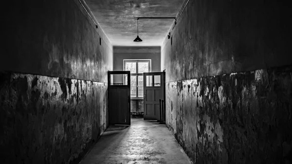 Εγκαίνια: Οι εκθέσεις της εβδομάδας (12-18/2)