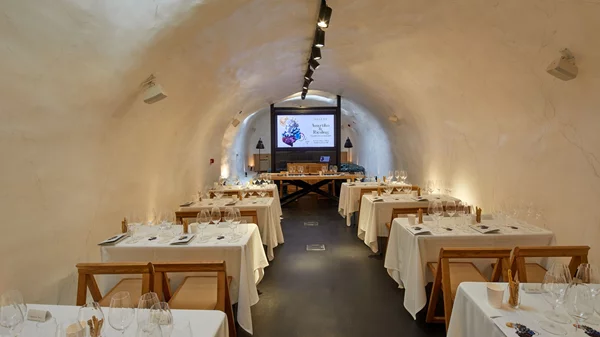 Η Selene Vedema επιστρέφει