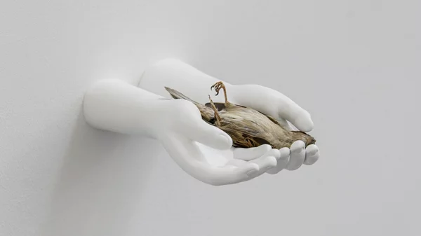 Συμβολισμοί για τη Μητέρα Φύση στη φετινή Μπιενάλε της Μπανγκόκ