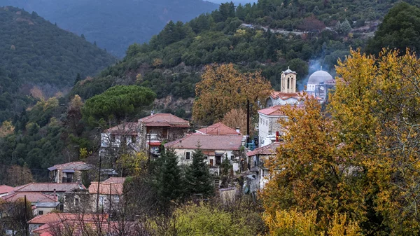 Αποκριάτικη διάθεση στη Βαμβακού Λακωνίας