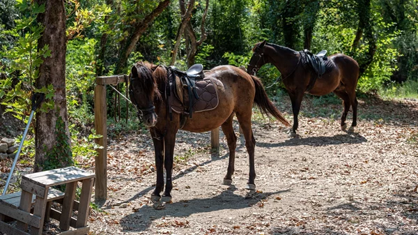7 ορεινοί προορισμοί στην Ελλάδα για τα πιο τέλεια φθινοπωρινά weekends