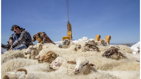 Το 7ο Φεστιβάλ Κινηματογράφου Σαντορίνης βάζει πλώρη για έντονες συγκινήσεις