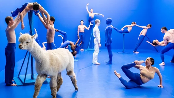 Συνεχίζεται το 13ο Athens Video Dance Project