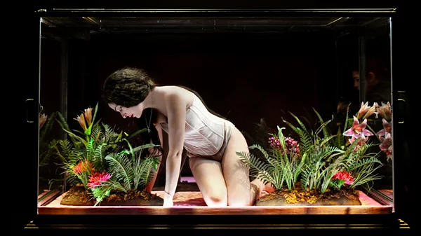 4 επαναλήψεις σηκώνουν αυλαία