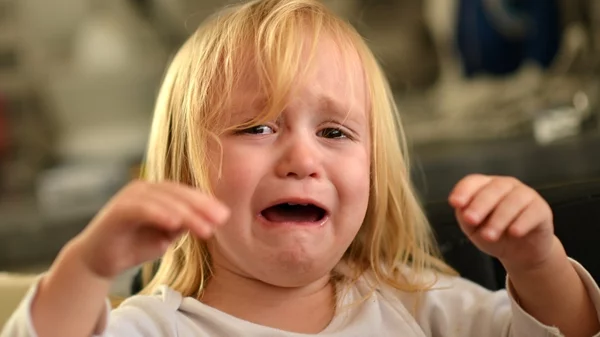 Η επιστήμη πίσω από τα παιδικά συναισθήματα: Οδηγός για γονείς από τη Δρ. Σουζάννα Κέμπερ