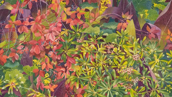 "Hidden Paradise": Η Τζάνετ Λιοδάκη μάς φέρνει πιο κοντά στη φύση