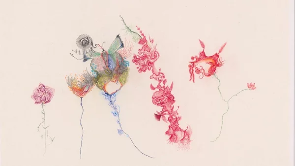 "Belly of the Fish": Αναζητώντας την εξέλιξη μέσα σε έναν κόσμο γεμάτο σουρεαλισμό