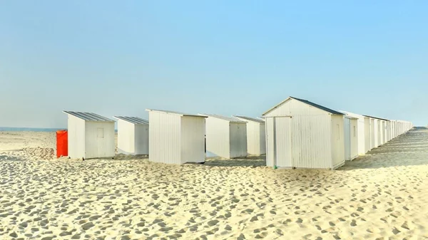 "Frames, Impressions, Emotions": Απαθανατίζοντας το συναίσθημα της στιγμής