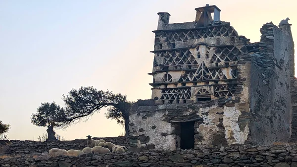 Δέκα νέα προγράμματα του "Cycladic Identity" ξεκινούν σε οκτώ νησιά των Κυκλάδων