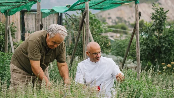 Μία νέα γαστρονομική εμπειρία από το "Soil" στο Αλεποχώρι